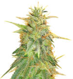 1772279460373.png 1772279460373.png