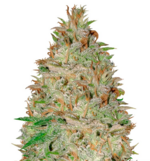 1772279474166.png 1772279474166.png