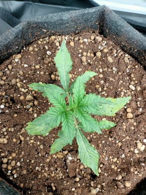 WhatsApp Image 2022-06-03 at 02.00.38 (2).jpeg WhatsApp Image 2022-06-03 at 02.00.38 (2).jpeg