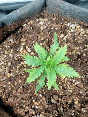 WhatsApp Image 2022-06-03 at 02.00.38 (3).jpeg WhatsApp Image 2022-06-03 at 02.00.38 (3).jpeg