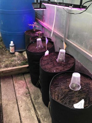 247F853A-735F-4EF7-AEF0-0ED4303105AA.jpeg 247F853A-735F-4EF7-AEF0-0ED4303105AA.jpeg