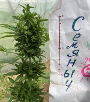 8.06.22 3.jpeg 8.06.22 3.jpeg