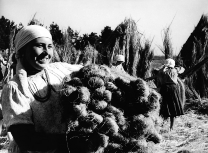 Полина Братко .png