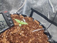 IMG_20260317_181507 (2).jpg