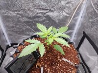 IMG_20260329_095543 (1).jpg