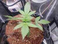 IMG_20260330_185835 (1).jpg