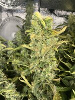 2 — копия.jpg