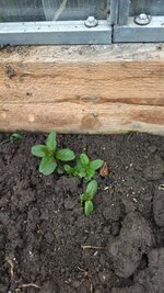 IMG_20260405_095850.jpg
