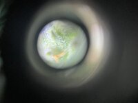 3 — копия.JPG