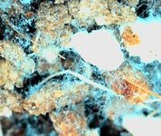 1775509723933 (1).png