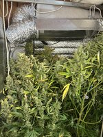 1 — копия.JPG