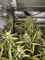 2 — копия.JPG