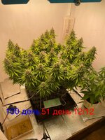 Большой синий Папка  5.0