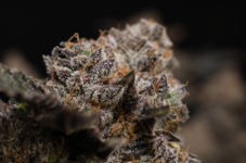 Снимок экрана 2026-04-19 155312.png