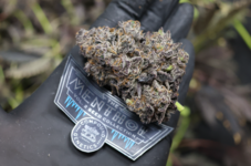 Снимок экрана 2026-04-19 155832.png