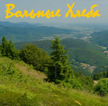 Вольные хлеба