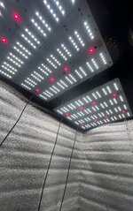 3 — копия.JPG