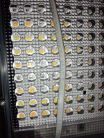 IMG_20260429_131011.jpg