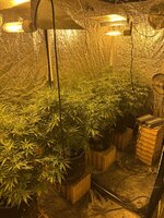 IMG_9869.jpeg