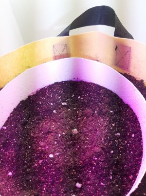 20220614_011052.jpg 20220614_011052.jpg