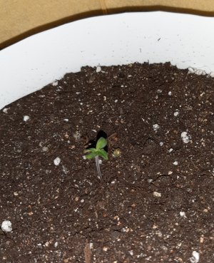 20220614_011531.jpg 20220614_011531.jpg