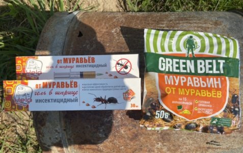 От муравьев.jpeg От муравьев.jpeg