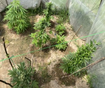 13.06.22 8.jpeg 13.06.22 8.jpeg