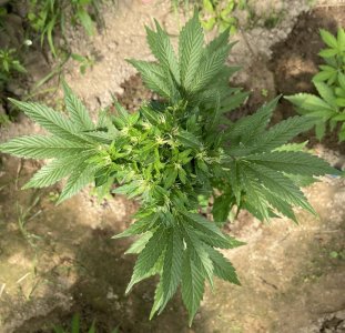 13.06.22 2.jpeg 13.06.22 2.jpeg