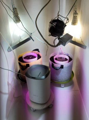 20220614_112514.jpg 20220614_112514.jpg