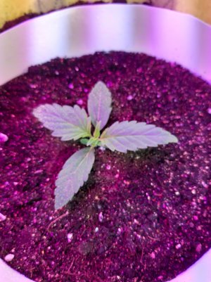 20220614_124730.jpg 20220614_124730.jpg