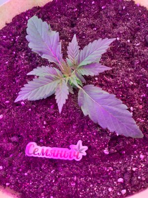 20220614_125426.jpg 20220614_125426.jpg