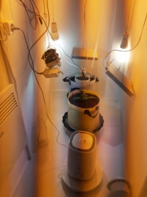 20220614_134642.jpg 20220614_134642.jpg