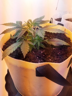 20220614_140441.jpg 20220614_140441.jpg