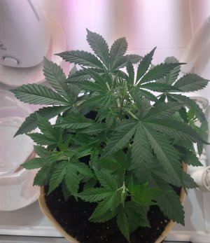 20220614_223510.jpg 20220614_223510.jpg