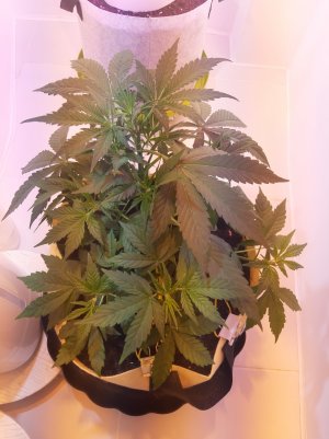 20220614_234134.jpg 20220614_234134.jpg