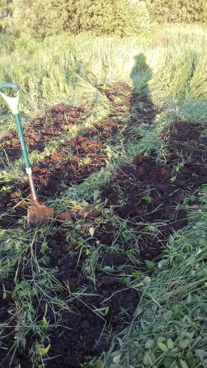 10.06.22.jpg 10.06.22.jpg