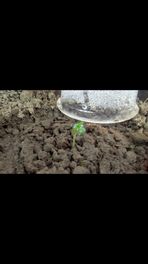 Screenshot_2022-06-16-21-59-17.png Screenshot_2022-06-16-21-59-17.png