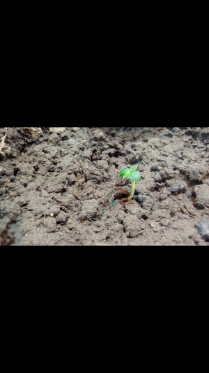 Screenshot_2022-06-16-21-59-29.png Screenshot_2022-06-16-21-59-29.png