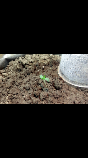 Screenshot_2022-06-16-21-59-32.png Screenshot_2022-06-16-21-59-32.png