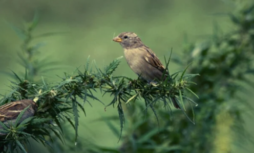 1655384990702.png 1655384990702.png