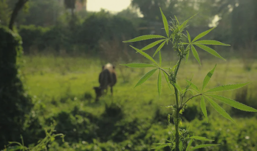 1655416940873.png 1655416940873.png