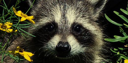 1655417123633.png 1655417123633.png