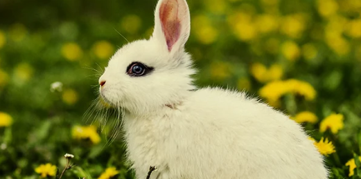 1655417143375.png 1655417143375.png