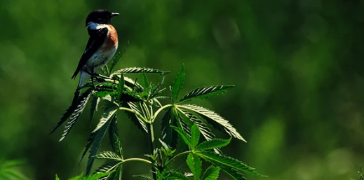 1655417190414.png 1655417190414.png