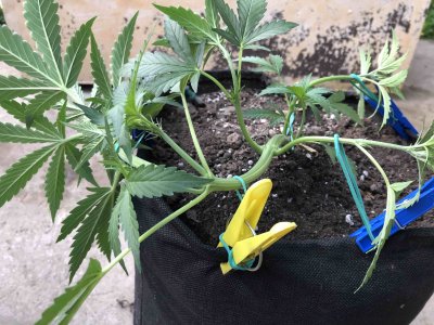 0F579858-0AE3-4846-A1A0-C12CA692AB9C.jpeg 0F579858-0AE3-4846-A1A0-C12CA692AB9C.jpeg