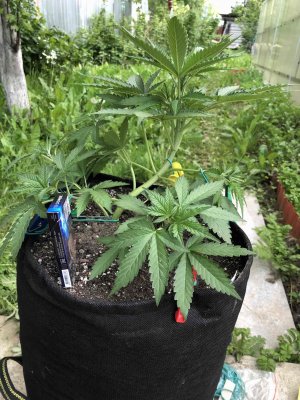 5FC1C8DA-DE31-4FC6-BEB6-8878D59D9D14.jpeg 5FC1C8DA-DE31-4FC6-BEB6-8878D59D9D14.jpeg