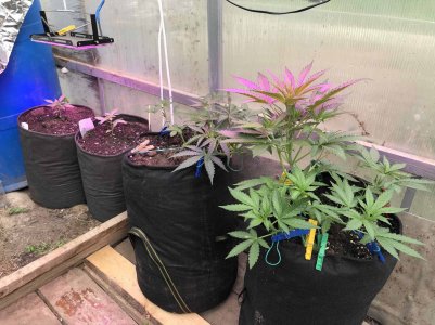 0EF816EF-910B-4871-B770-C57AA3B120CA.jpeg 0EF816EF-910B-4871-B770-C57AA3B120CA.jpeg