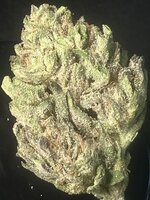 gazzurple-keeper-cut-v0-pjy3ozjry0fe1.jpg