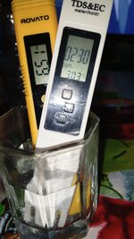 IMG_20260826_192957_901.jpg