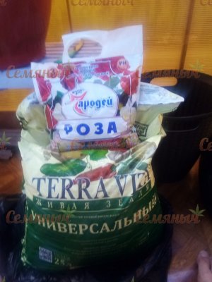 38-wm-82622.1000000005_watermarked.jpg 38-wm-82622.1000000005_watermarked.jpg